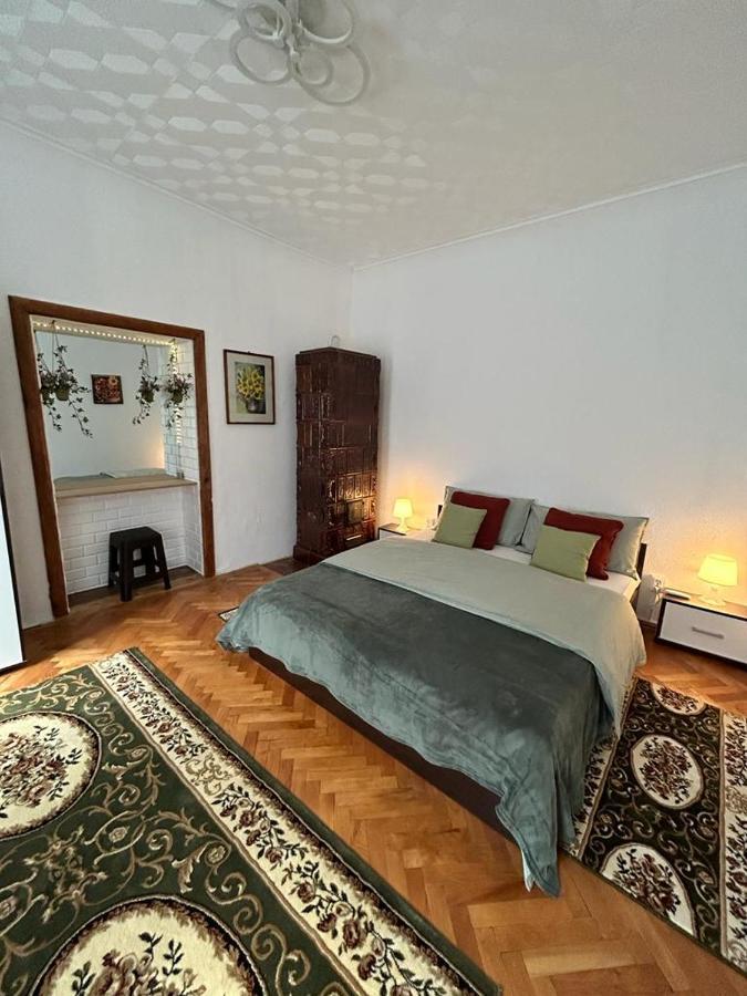 Guest House Rusu Braşov Esterno foto