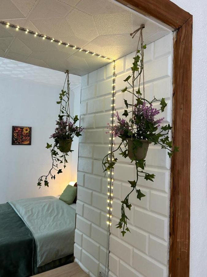 Guest House Rusu Braşov Esterno foto