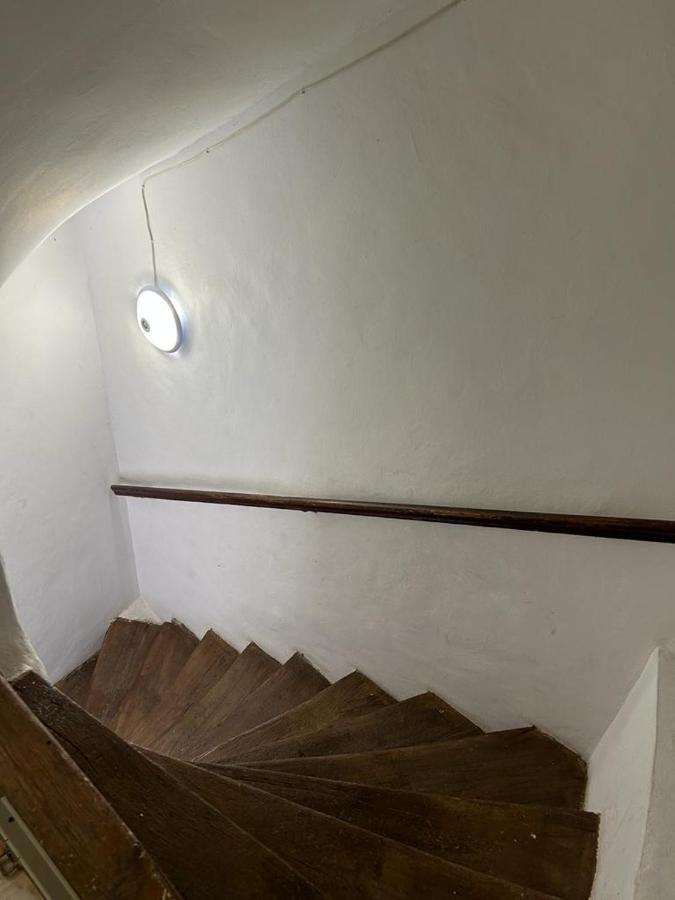 Guest House Rusu Braşov Esterno foto